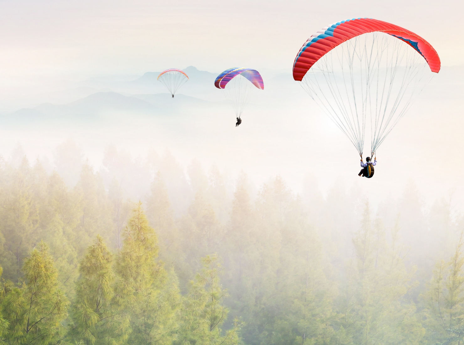 I have a project in mind